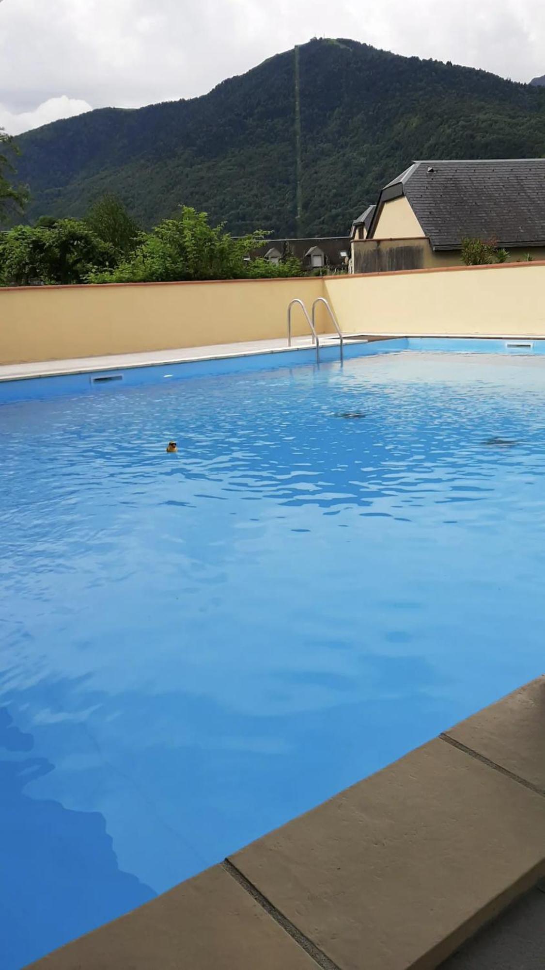 Appart T 3 Bagneres-De-Luchon Vue Montagne - Piscine Mi Juin المظهر الخارجي الصورة